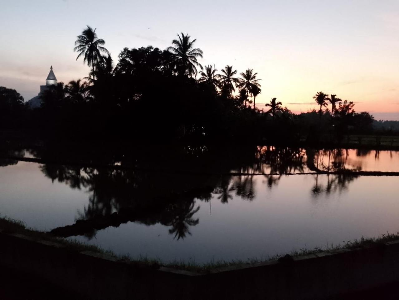 Black Panther Yala Tissamaharama Bagian luar foto